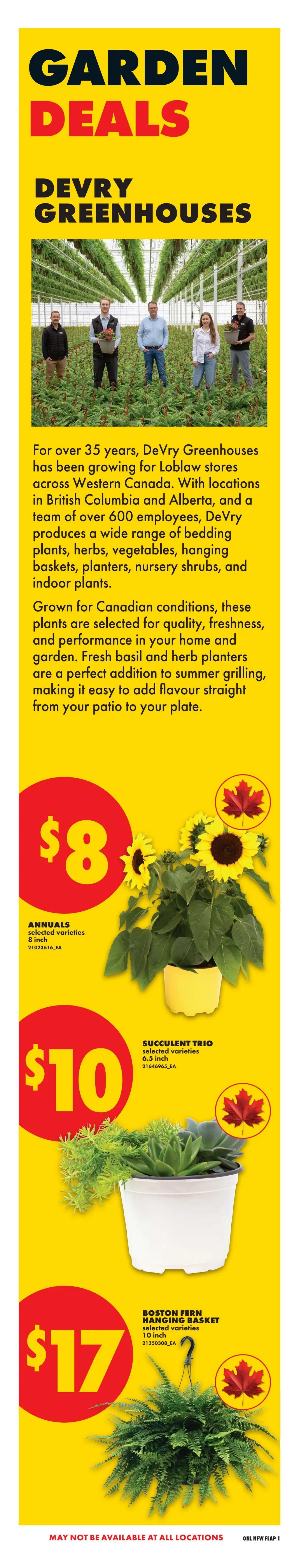 No Frills (West) Flyer May 28 to June 3