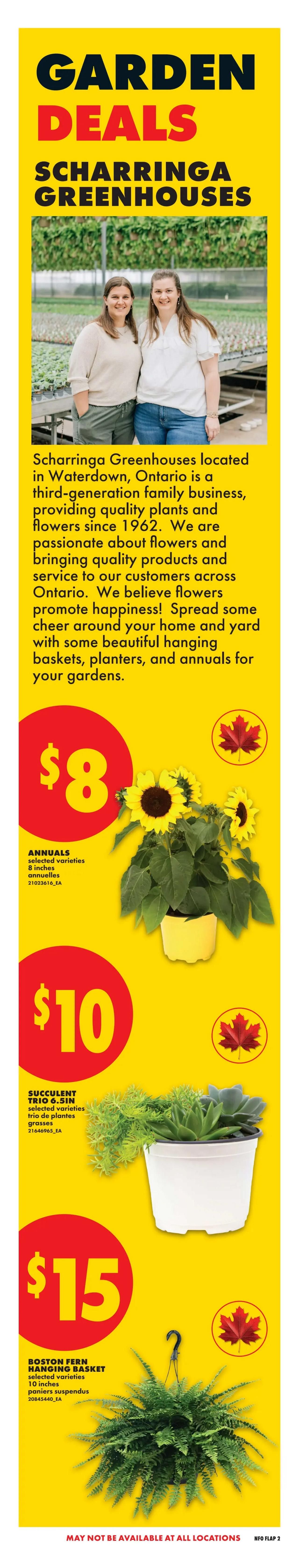 No Frills (ON) Flyer May 28 to June 3