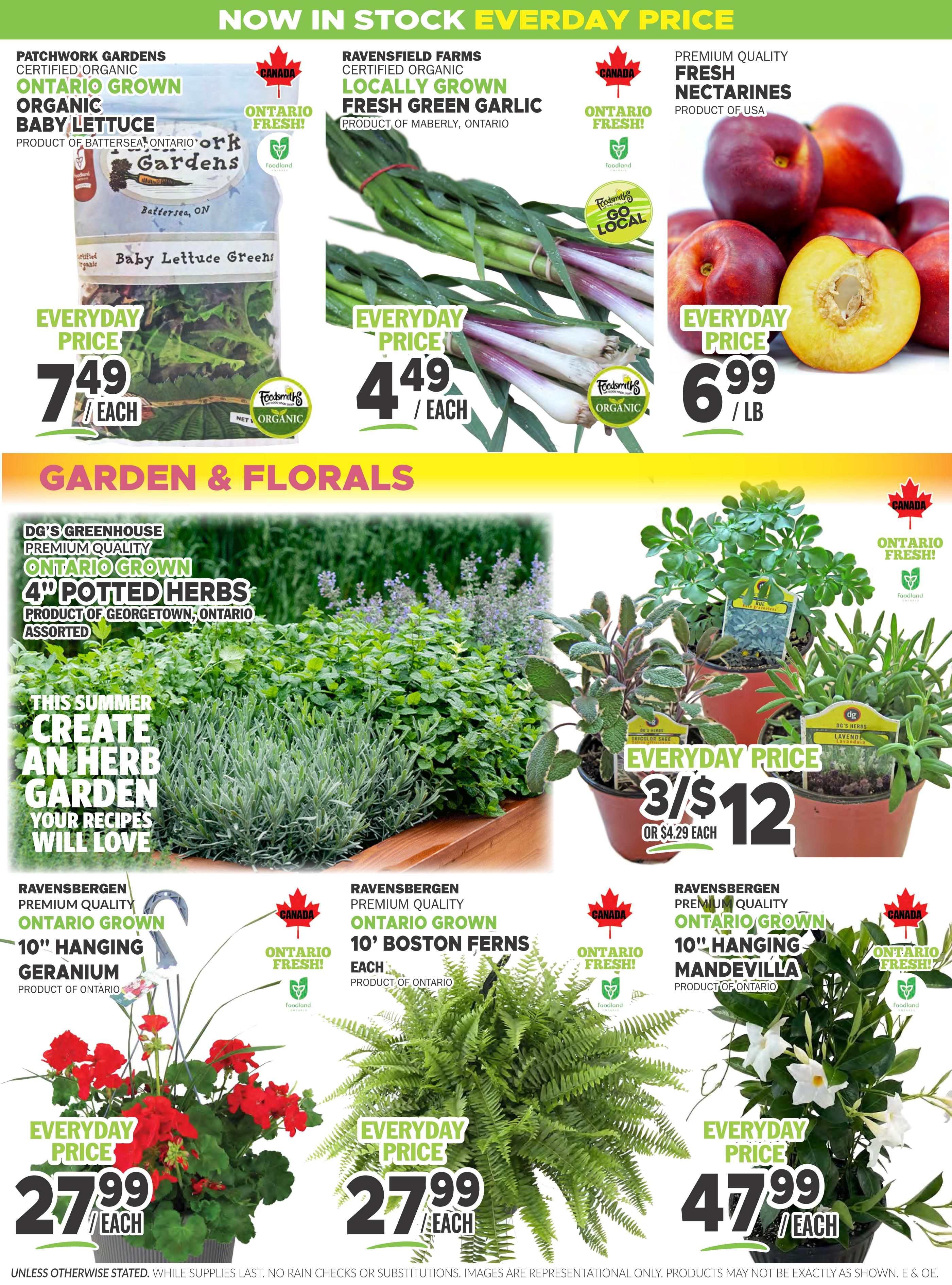 Foodsmiths Flyer May 28 to June 4