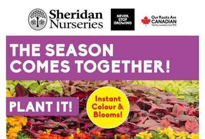Sheridan Nurseries Flyer May 28 to June 3