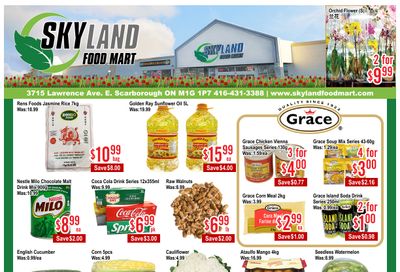 Skyland Food Mart Flyer May 29 to June 4