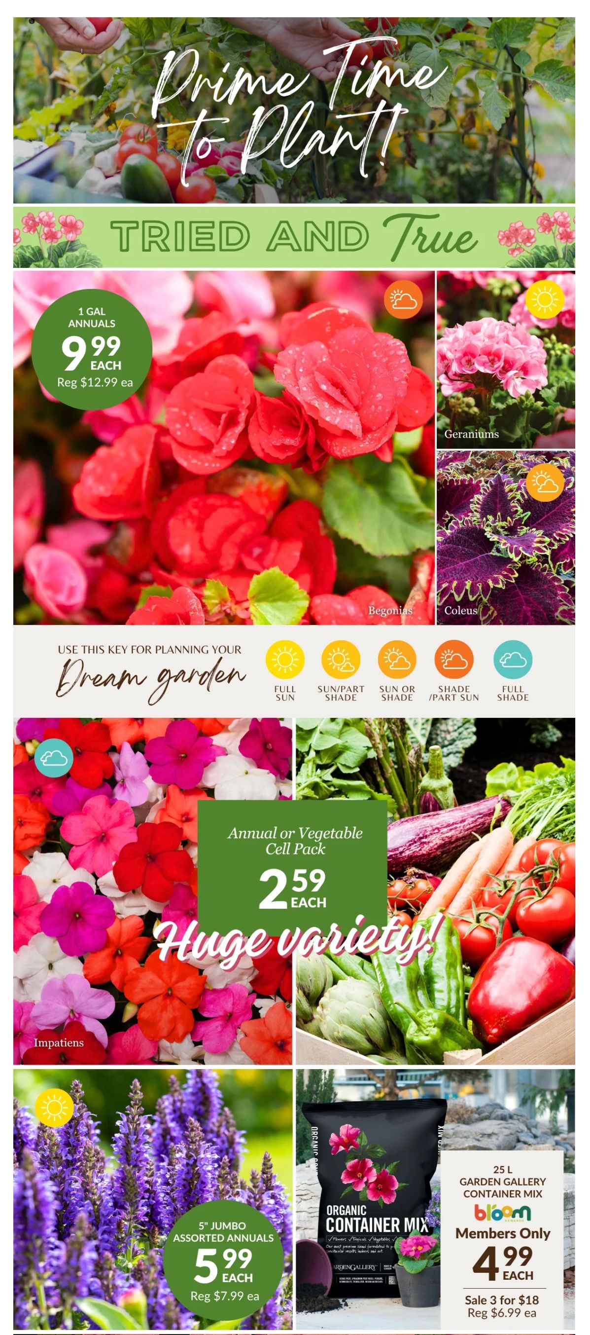Lakeside Garden Gallery Flyer May 29 to June 4