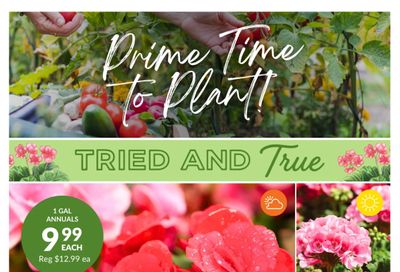 Lakeside Garden Gallery Flyer May 29 to June 4