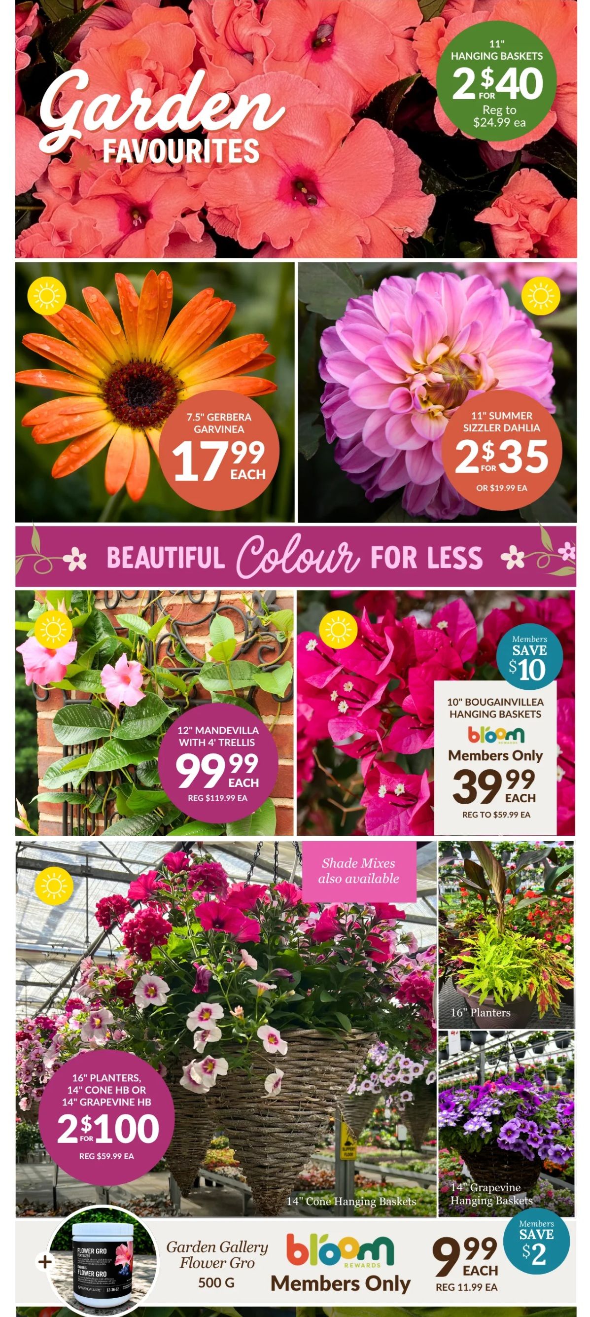 Lakeside Garden Gallery Flyer May 29 to June 4