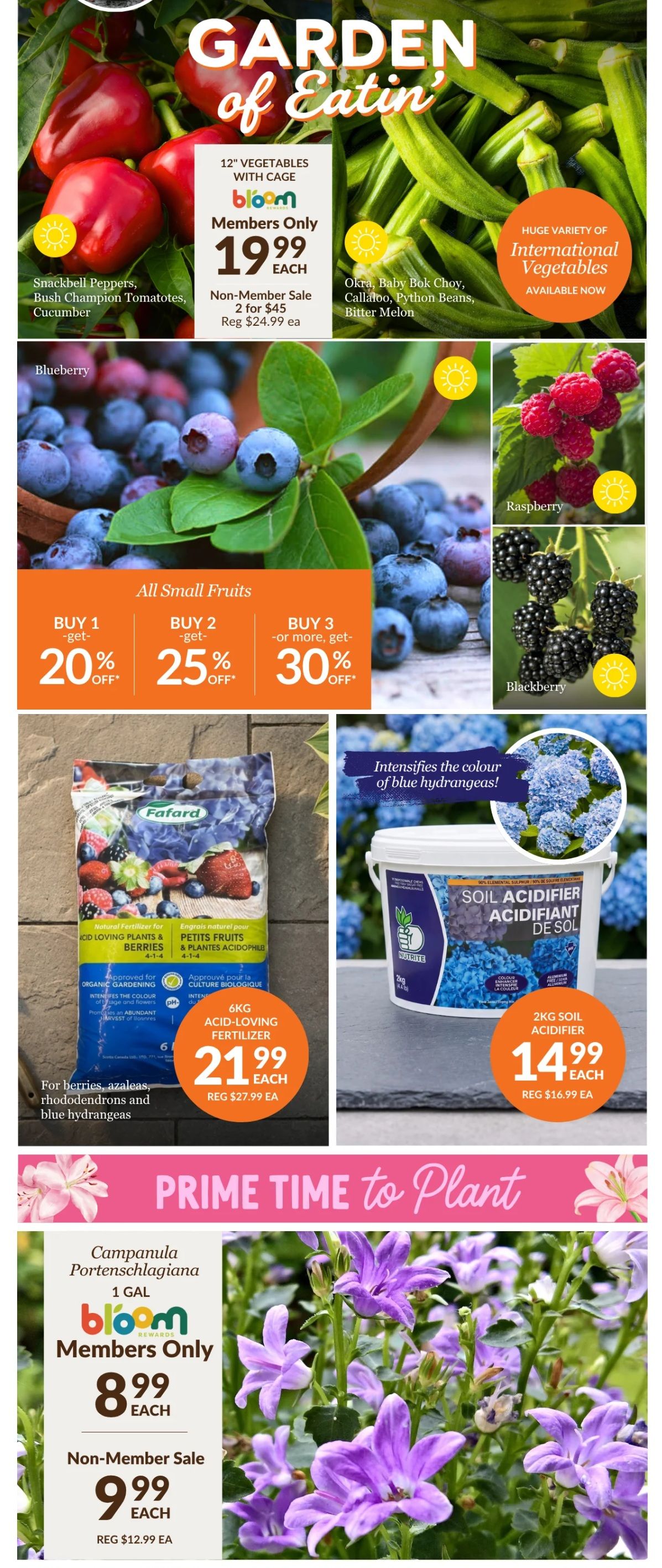 Lakeside Garden Gallery Flyer May 29 to June 4