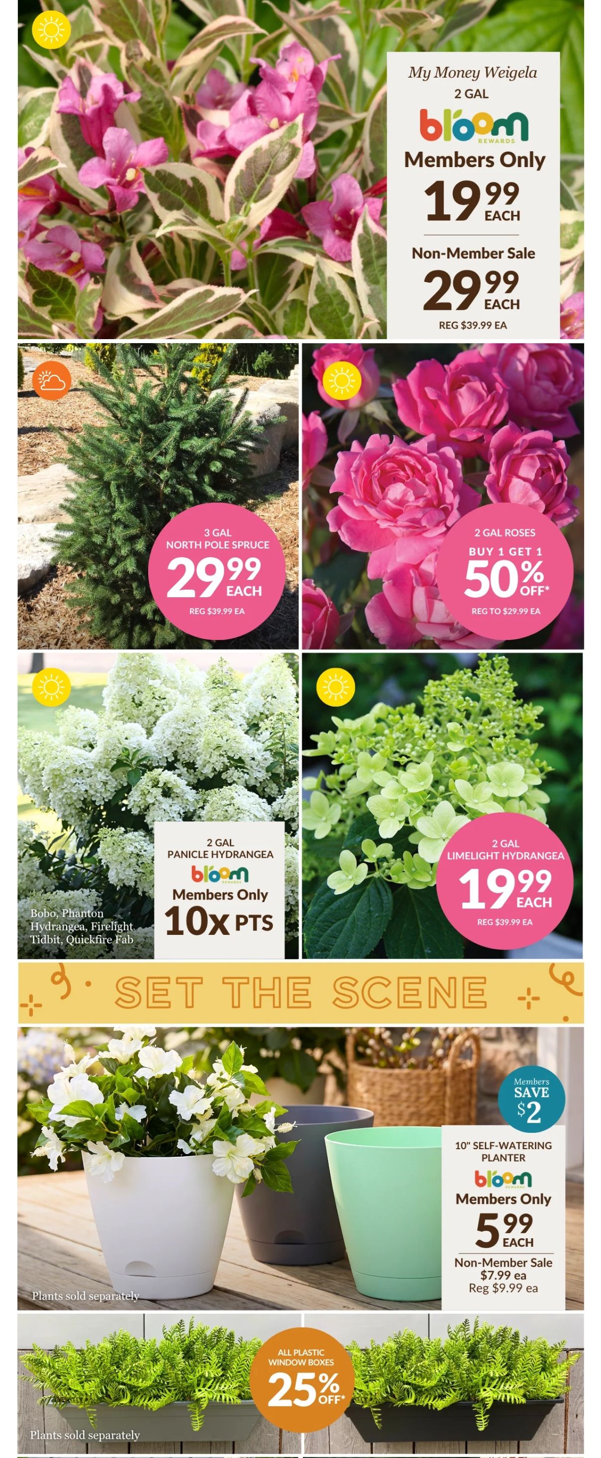 Lakeside Garden Gallery Flyer May 29 to June 4