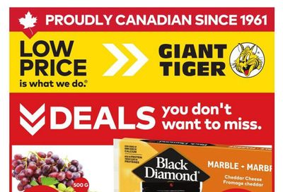 Giant Tiger (ON) Flyer June 3 to 9