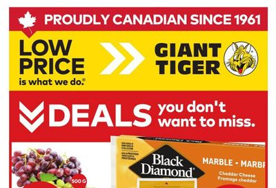 Giant Tiger (West) Flyer June 3 to 9