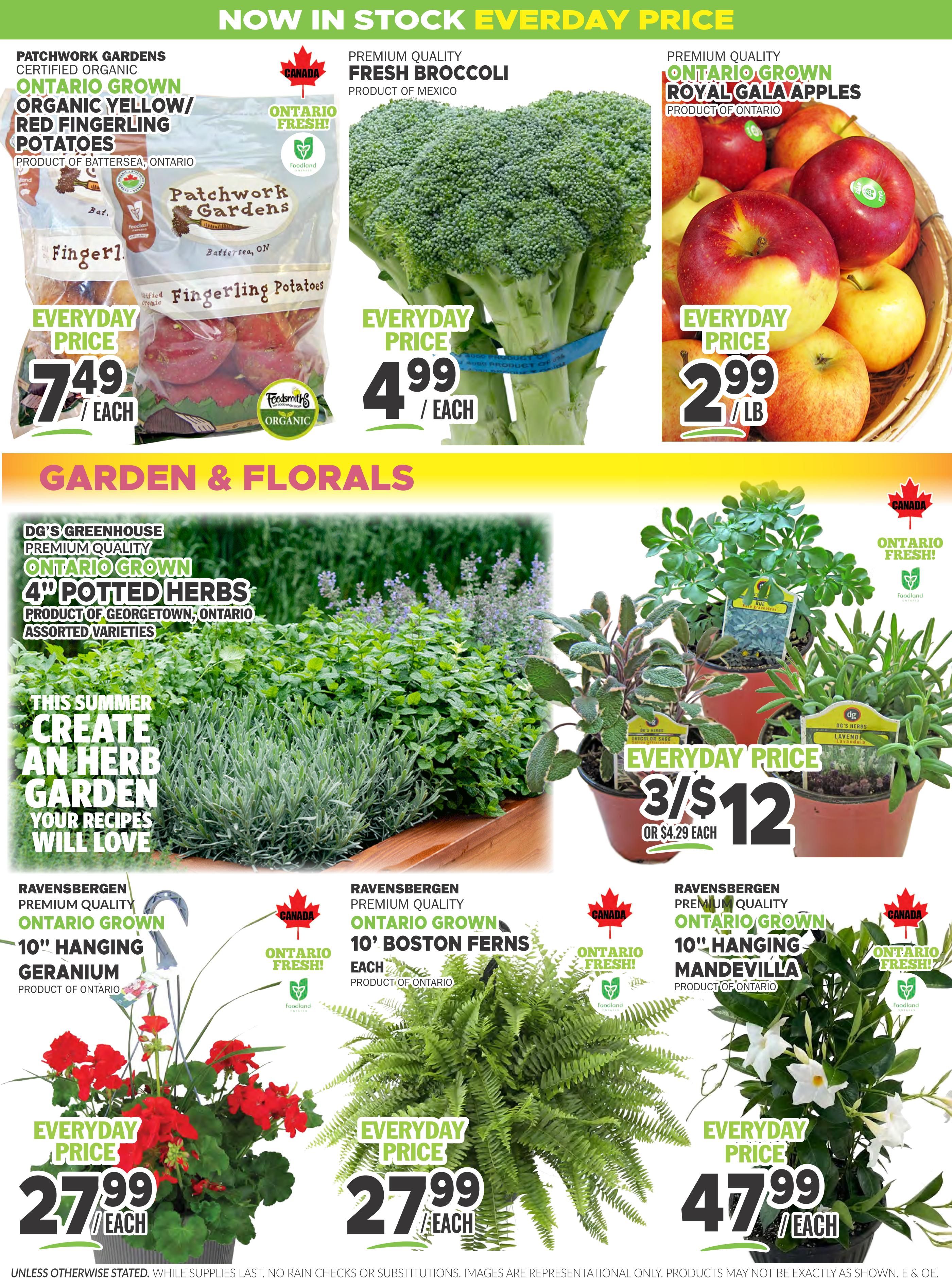Foodsmiths Flyer June 4 to 11