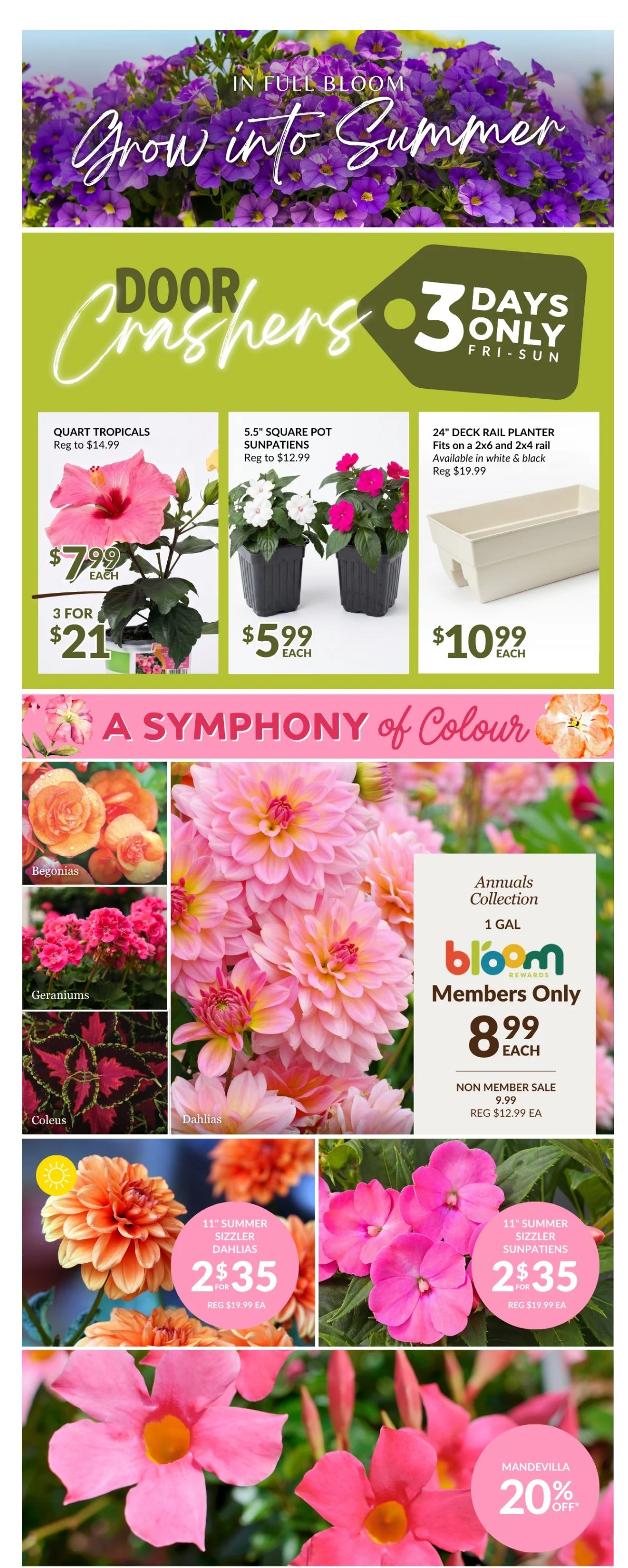 Lakeside Garden Gallery Flyer June 5 to 11