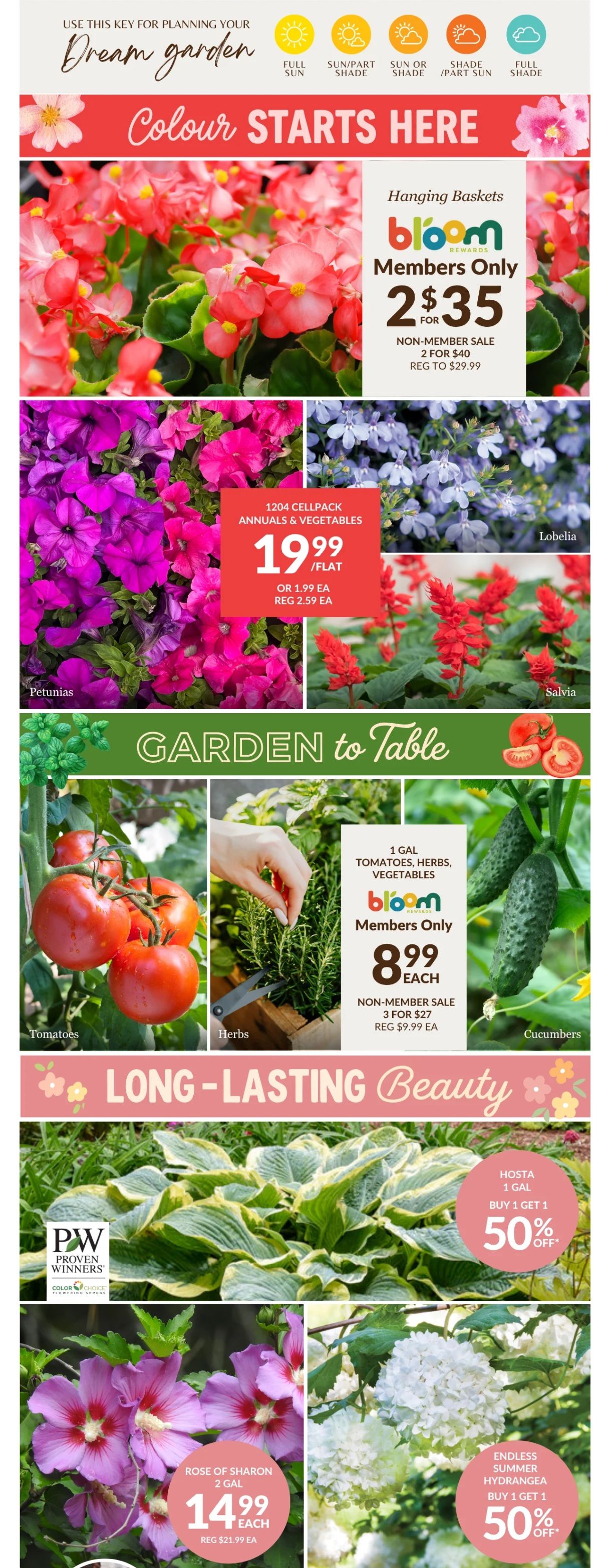 Lakeside Garden Gallery Flyer June 5 to 11