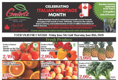 Galati Market Fresh Flyer June 5 to 18