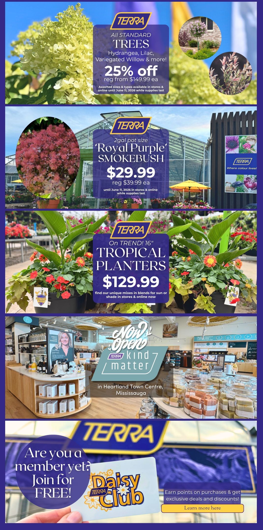 Terra Greenhouses Flyer June 5 to 11
