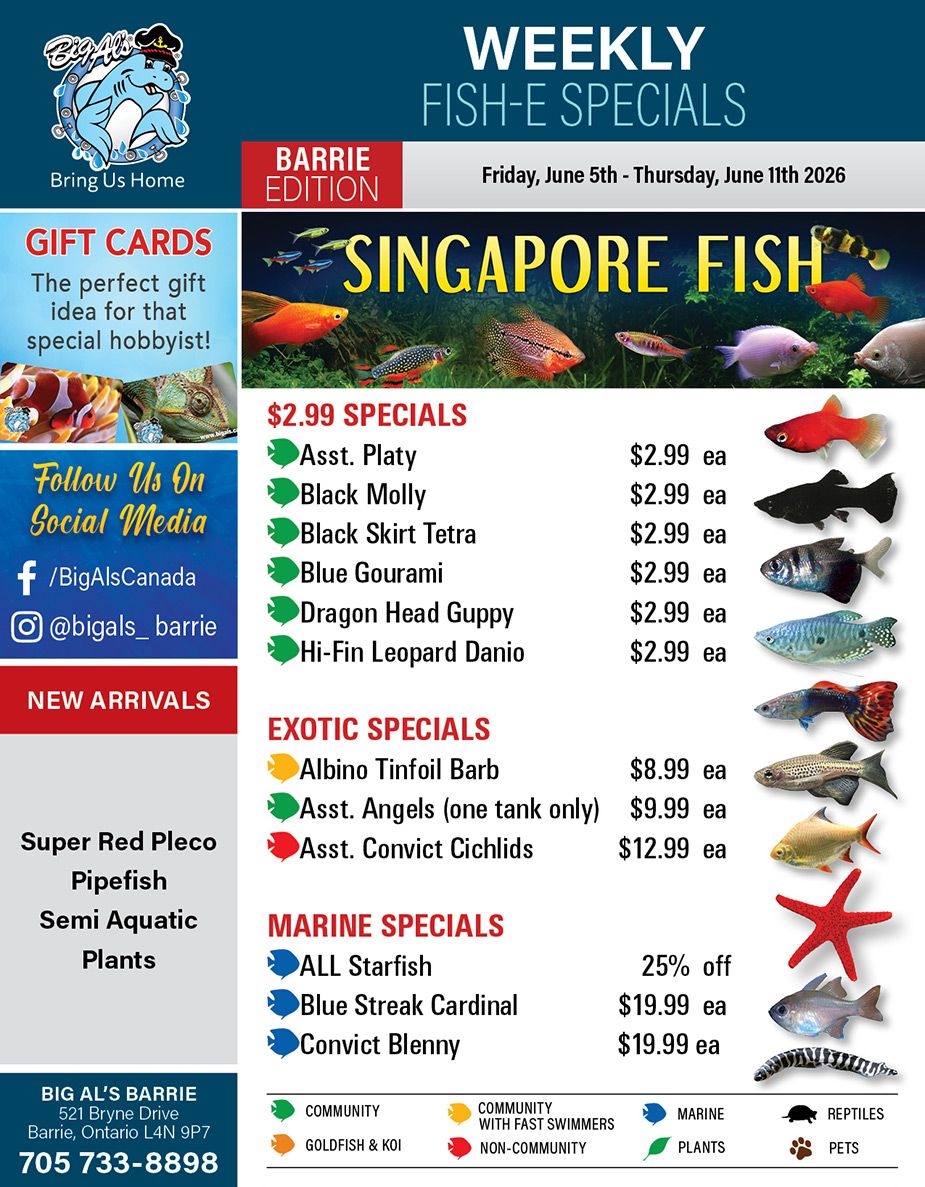 Big Al's (Barrie) Weekly Specials June 5 to 11