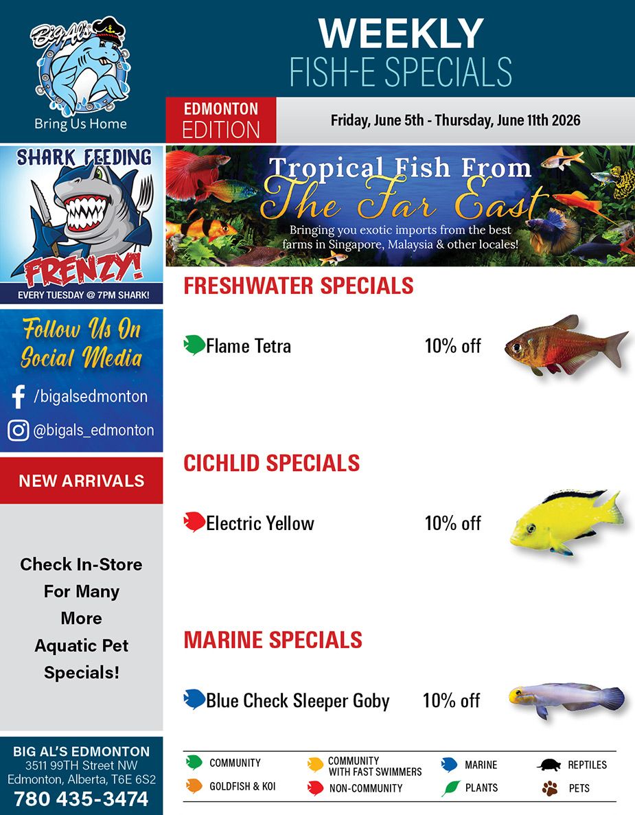 Big Al's (Edmonton) Weekly Specials June 5 to 11