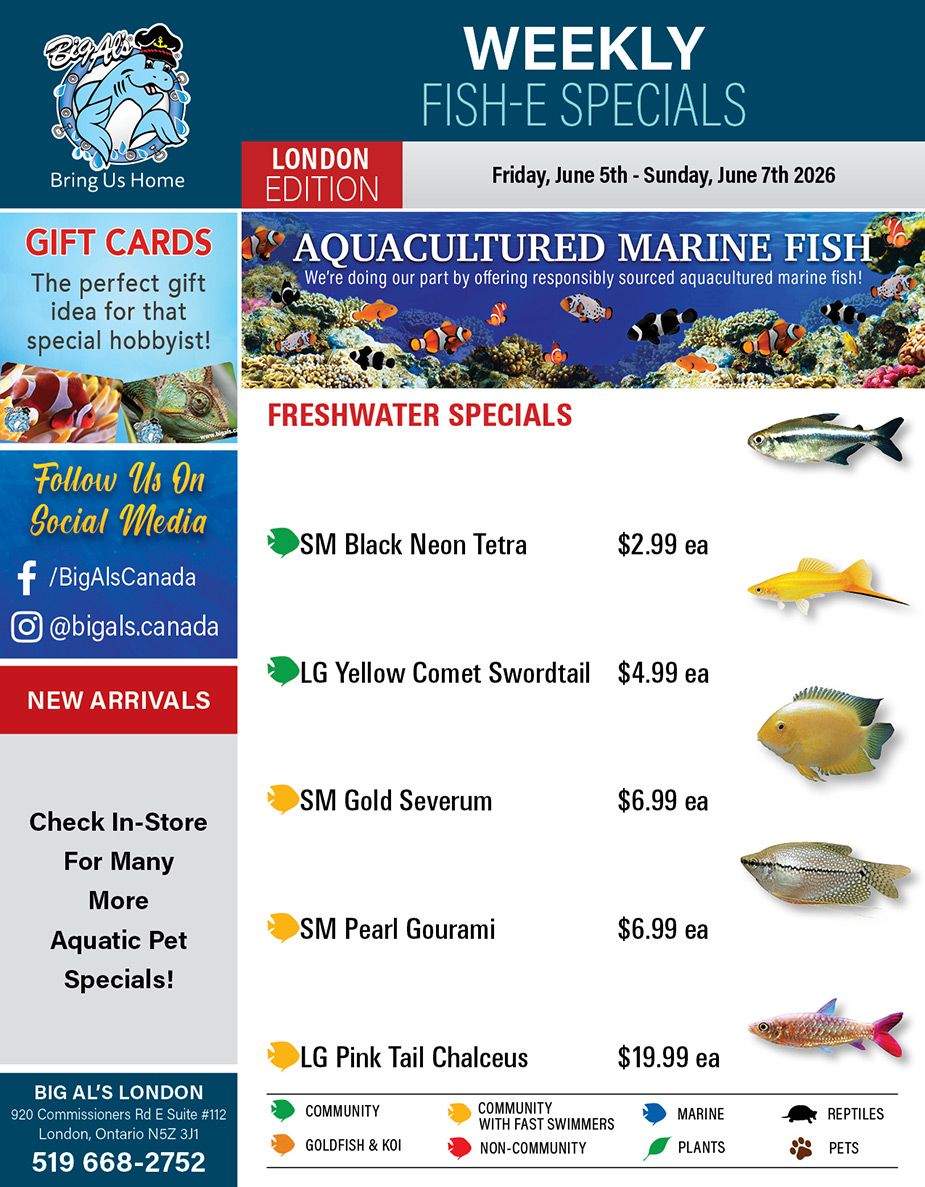 Big Al's (London) Weekend Specials June 5 to 7
