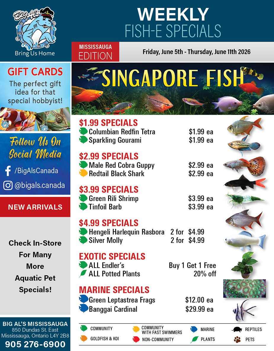 Big Al's (Mississauga) Weekly Specials June 5 to 11