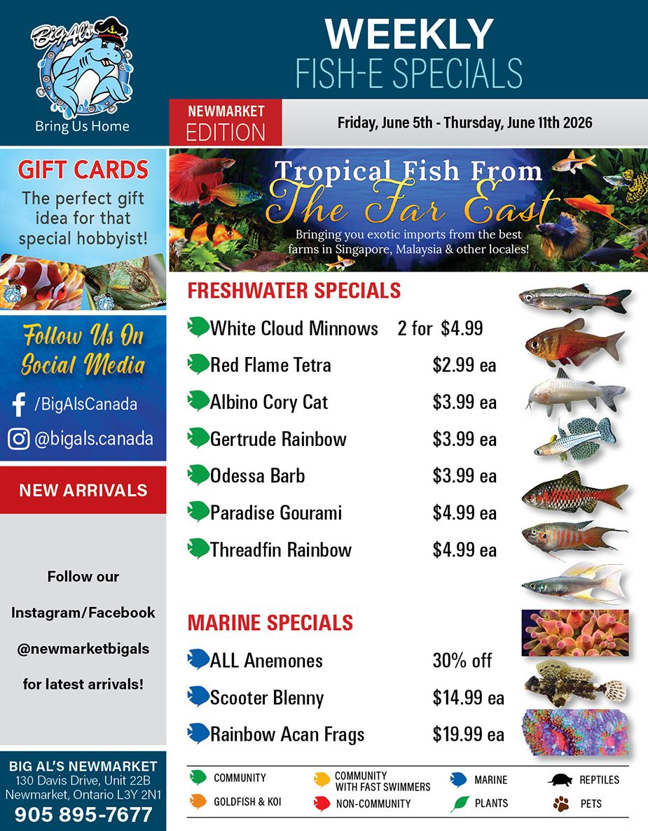 Big Al's (Newmarket) Weekly Specials June 5 to 11