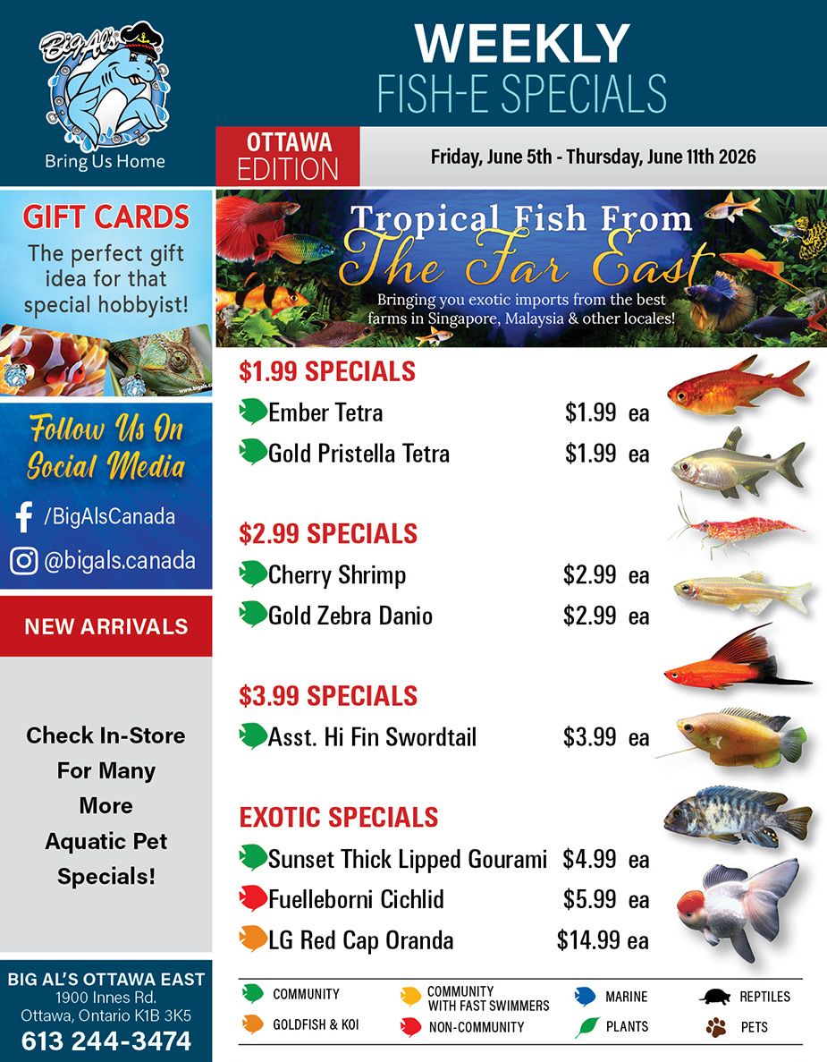 Big Al's (Ottawa) Weekly Specials June 5 to 11