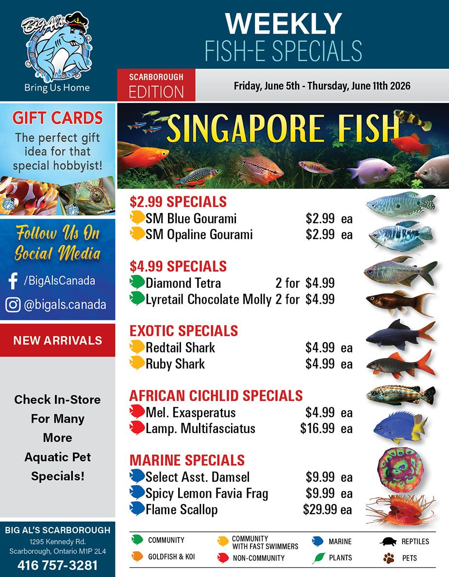 Big Al's (Scarborough) Weekly Specials June 5 to 11