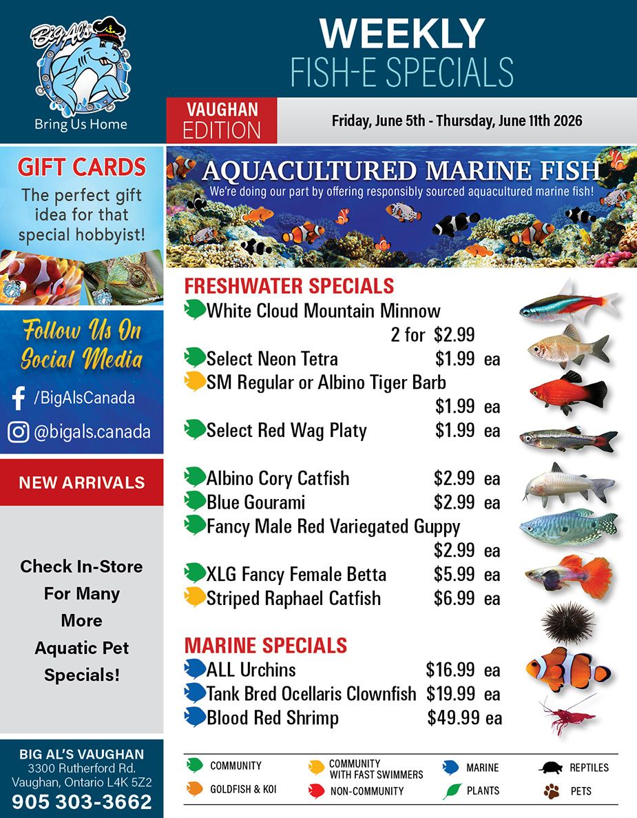 Big Al's (Vaughan) Weekly Specials June 5 to 11