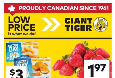 Giant Tiger (ON) Flyer June 10 to 16