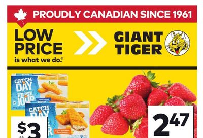 Giant Tiger (West) Flyer June 10 to 16