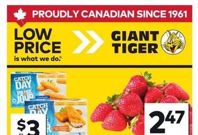 Giant Tiger (Atlantic) Flyer June 10 to 16
