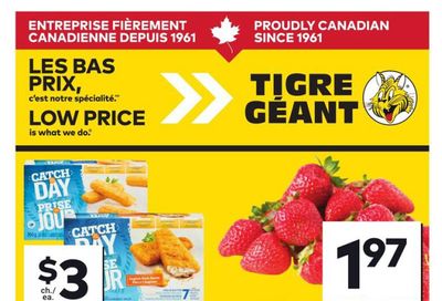 Tigre Géant Flyer June 10 to 16