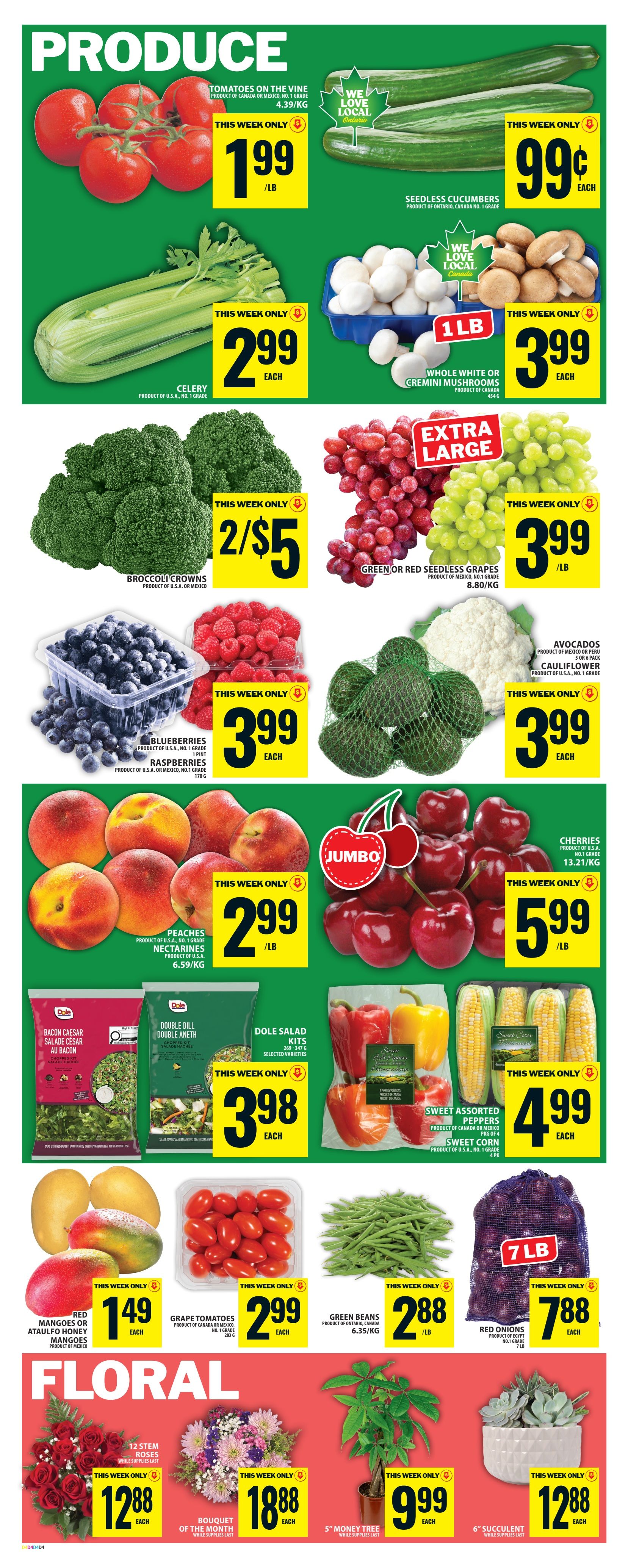 Food Basics Flyer June 11 to 17