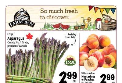 Farm Boy Flyer June 11 to 17