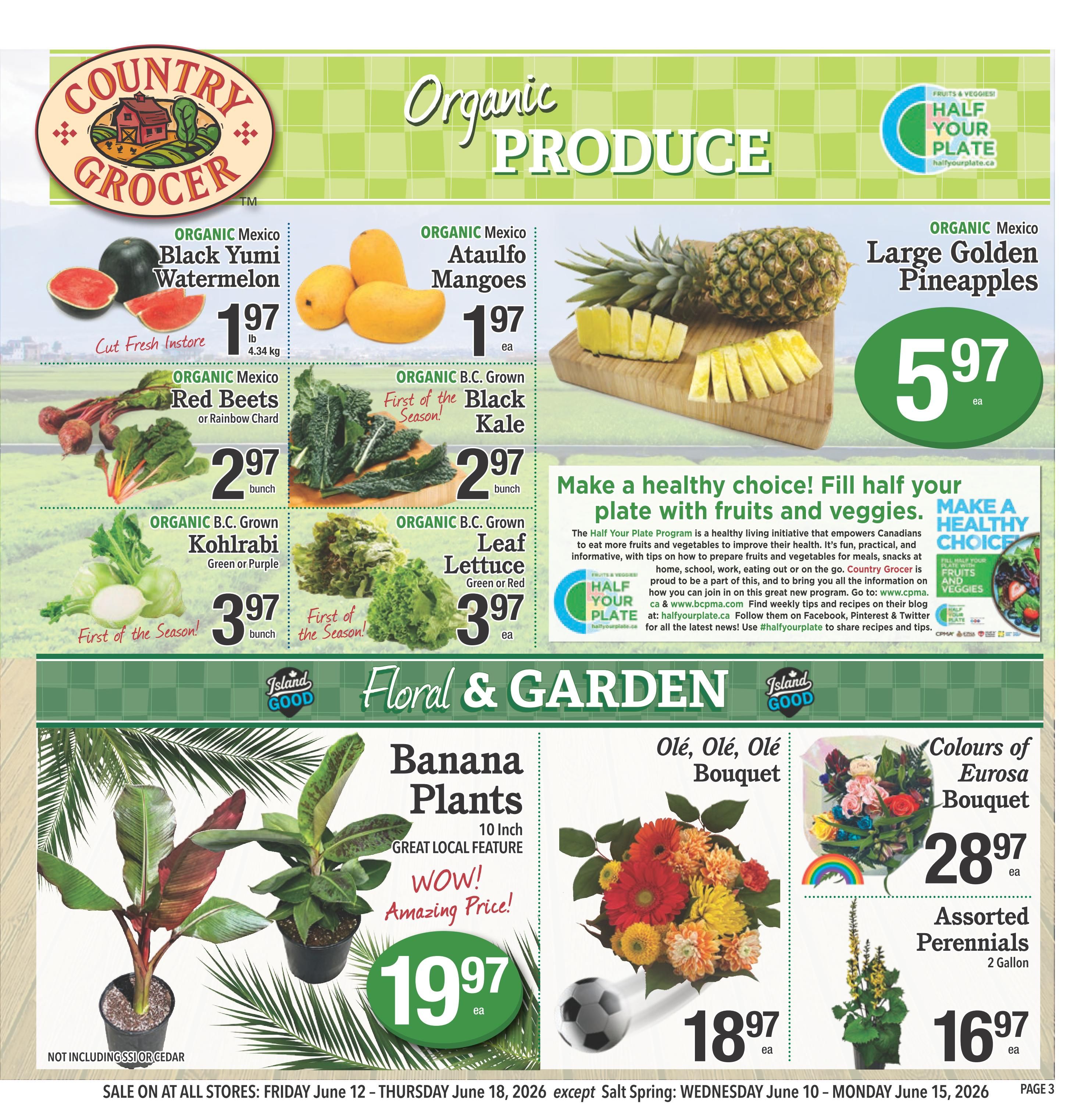 Country Grocer Flyer June 12 to 18