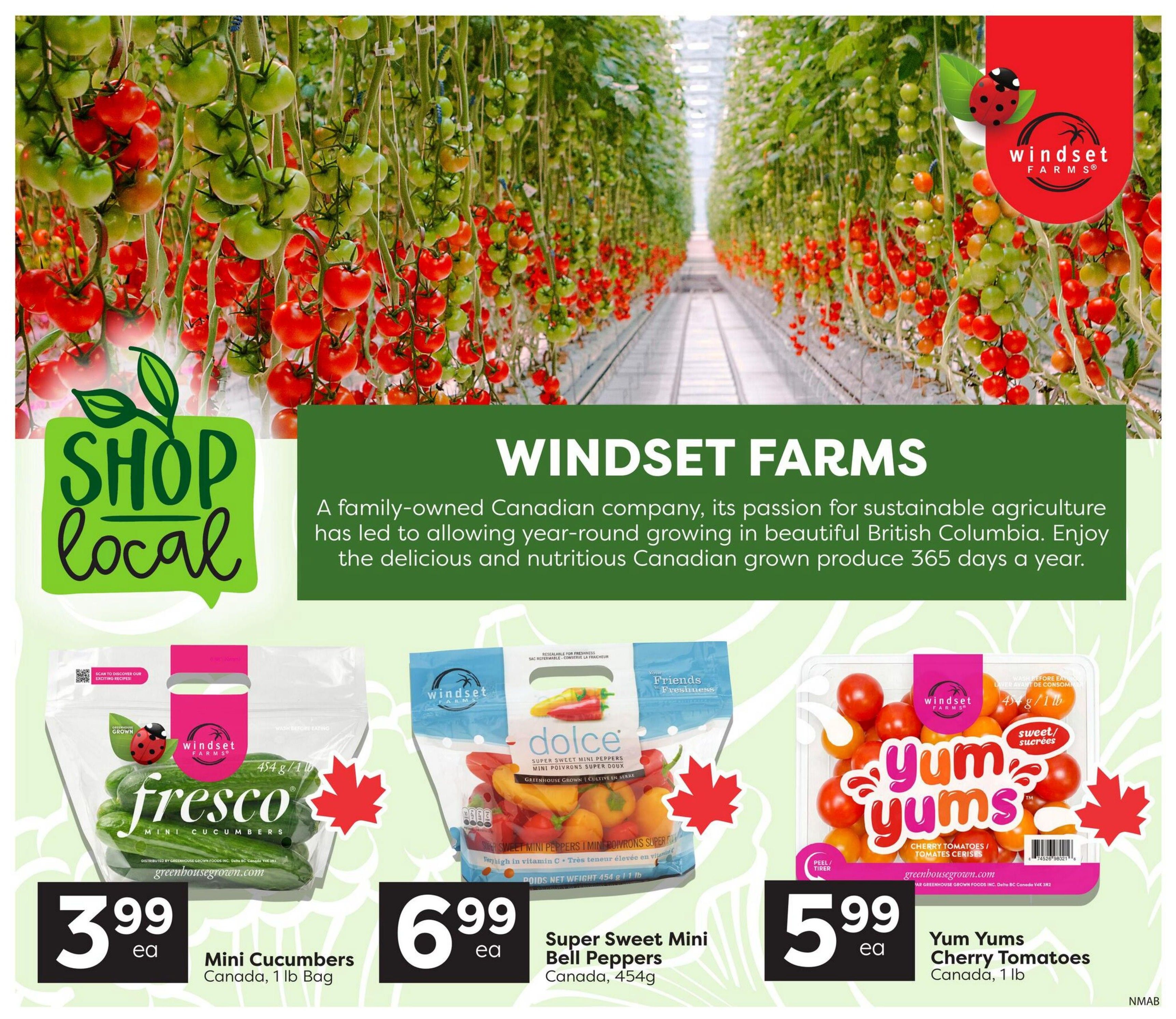 Nesters Market Flyer June 11 to 17