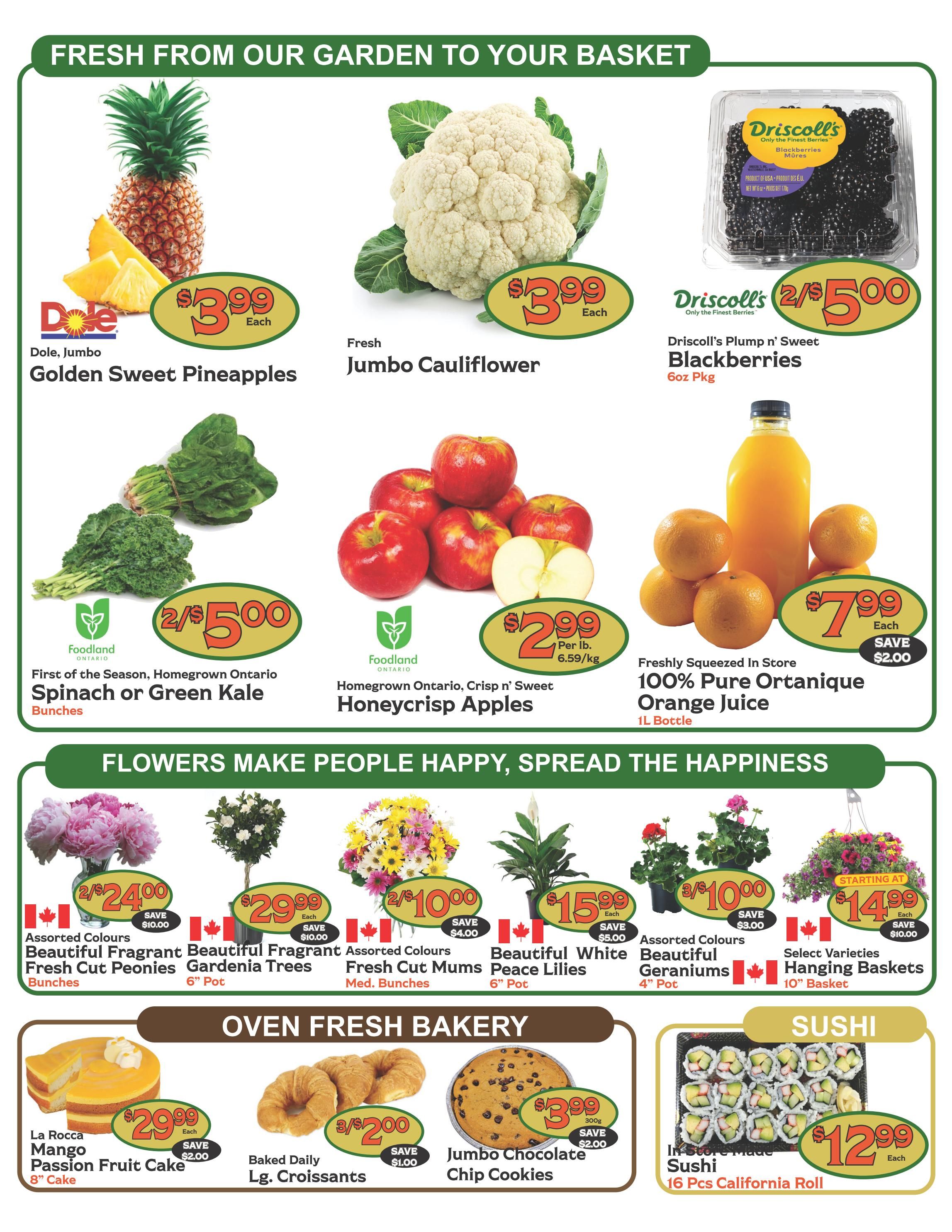 The Garden Basket Flyer June 11 to 17