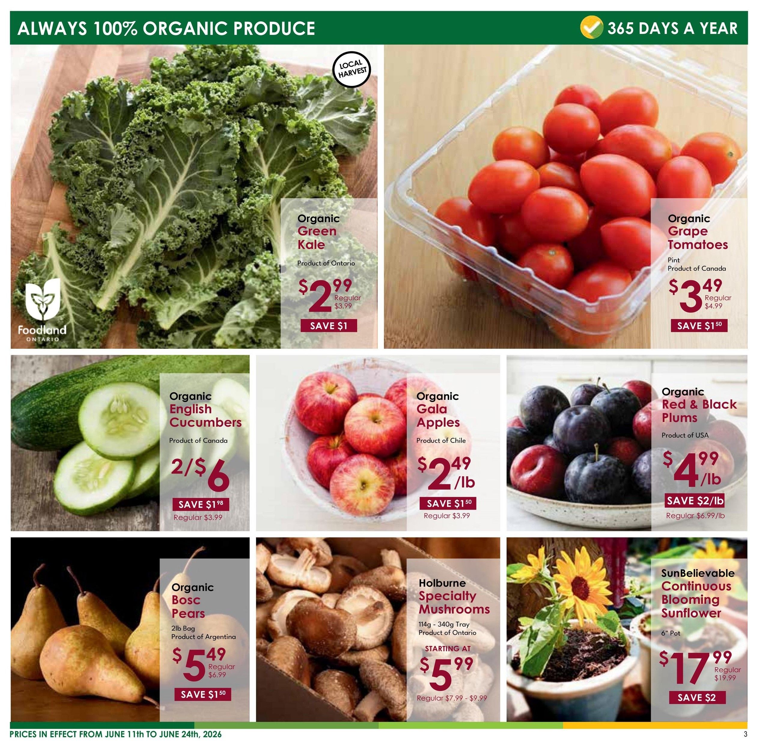 Nature's Emporium Bi-Weekly Flyer June 11 to 24