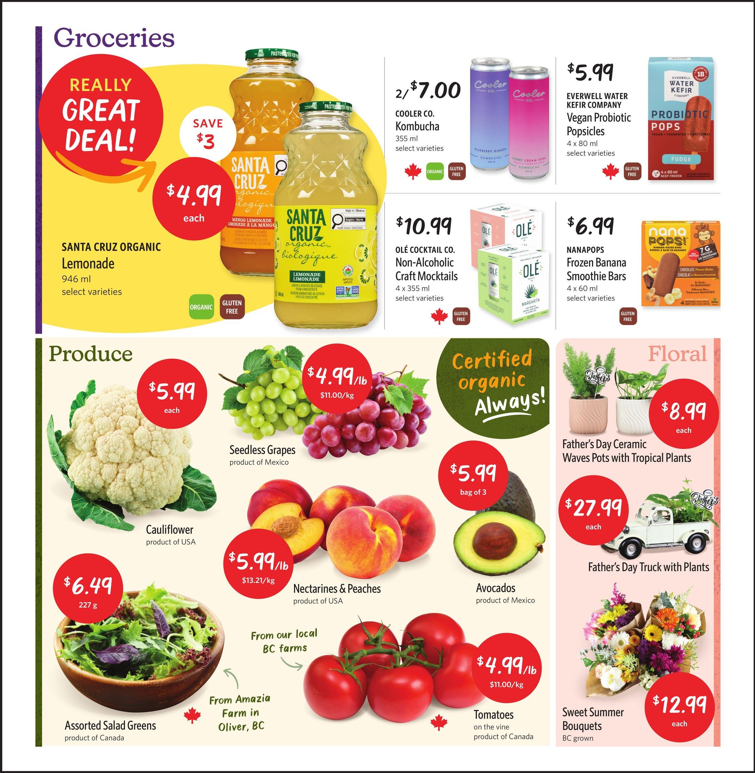 Nature's Fare Markets Flyer June 11 to 24