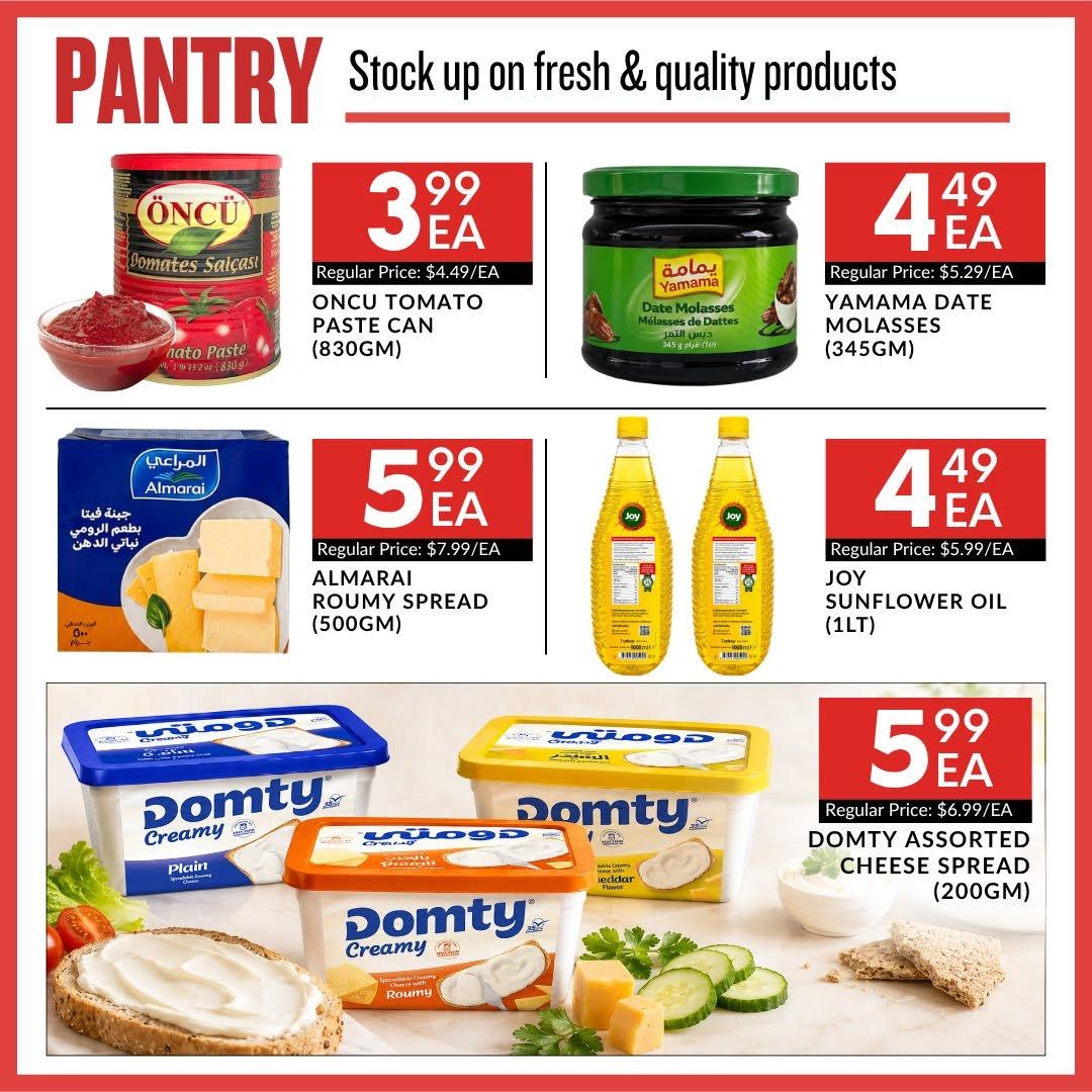 Basha Foods International Flyer June 11 to 17