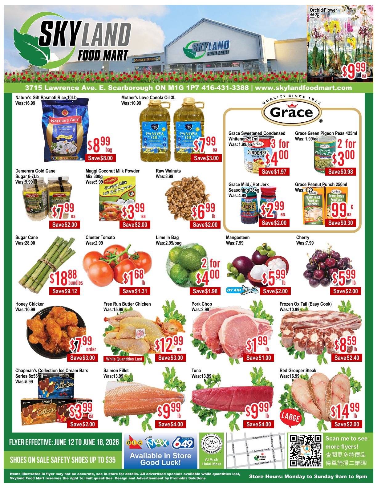 Skyland Food Mart Flyer June 12 to 18