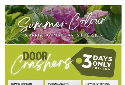 Lakeside Garden Gallery Flyer June 12 to 18