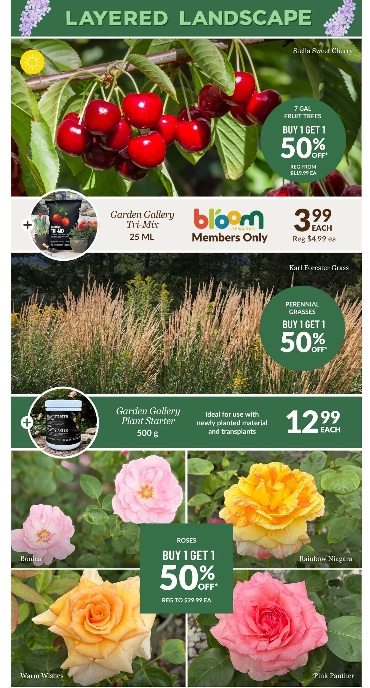 Lakeside Garden Gallery Flyer June 12 to 18