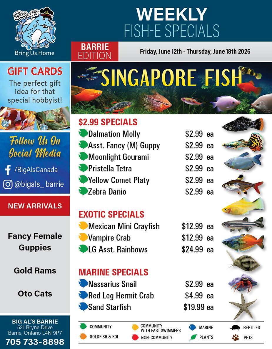 Big Al's (Barrie) Weekly Specials June 12 to 18