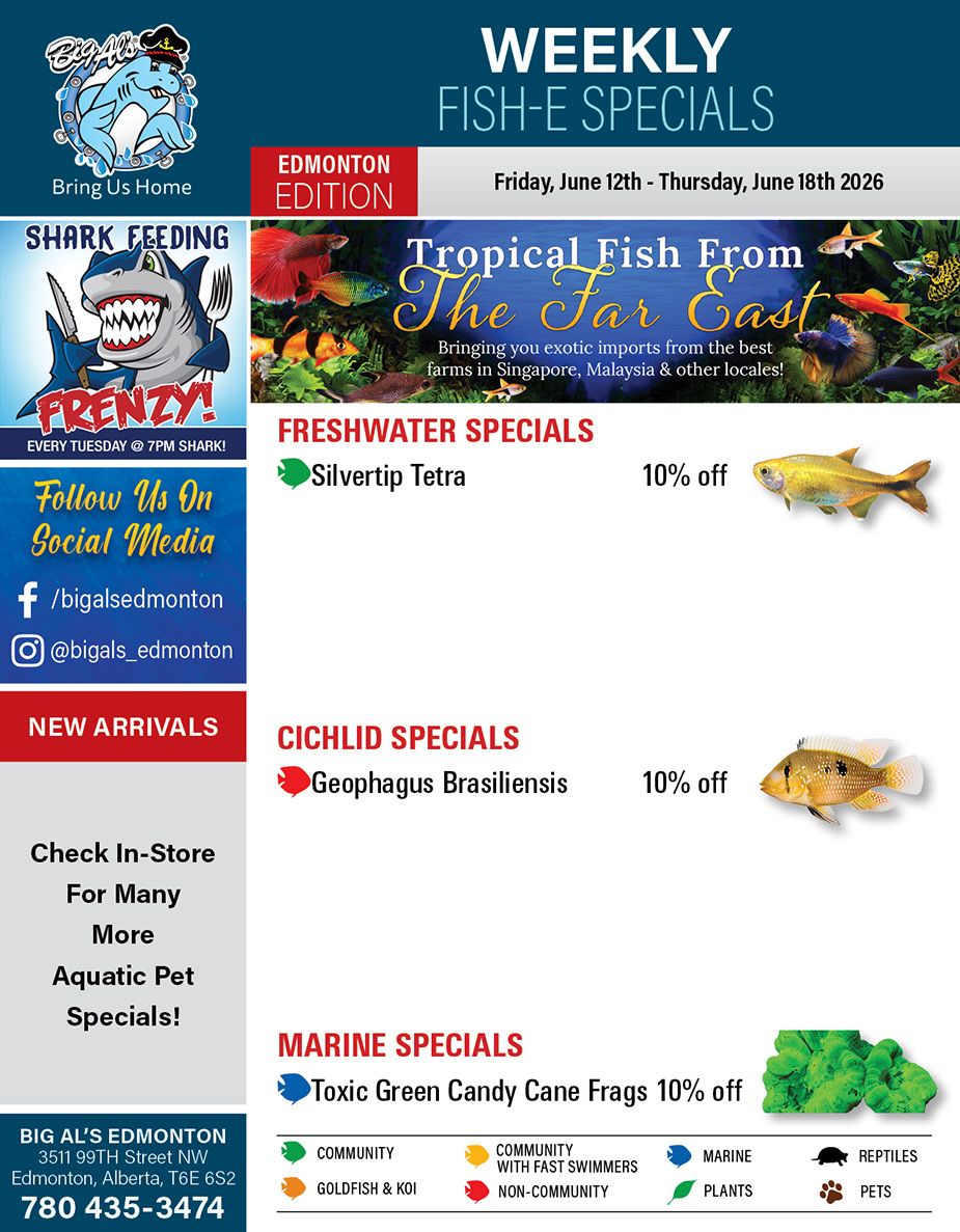 Big Al's (Edmonton) Weekly Specials June 12 to 18