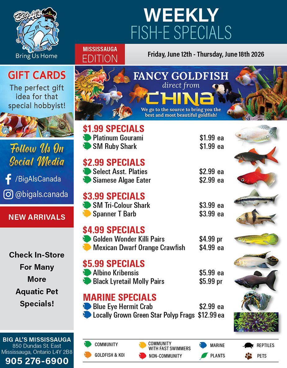 Big Al's (Mississauga) Weekly Specials June 12 to 18