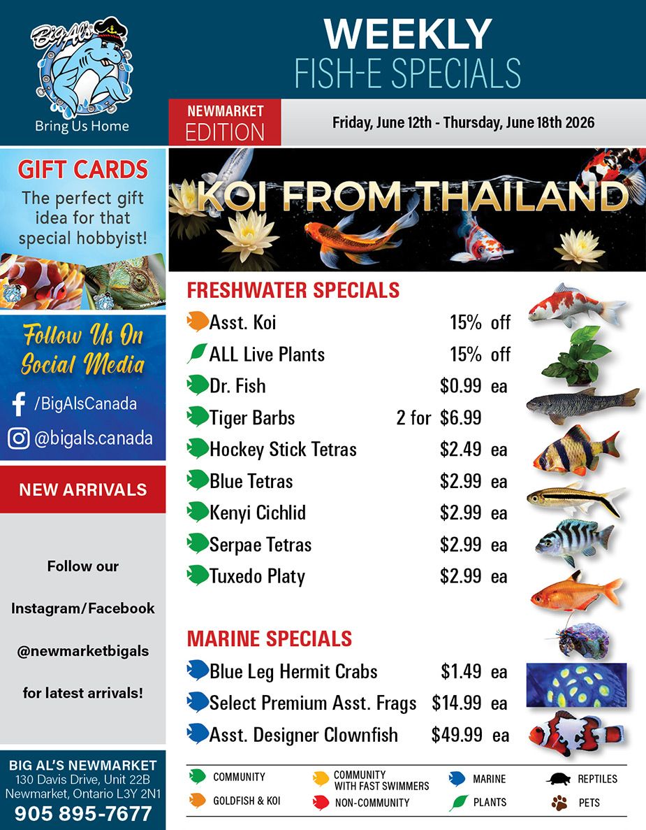 Big Al's (Newmarket) Weekly Specials June 12 to 18