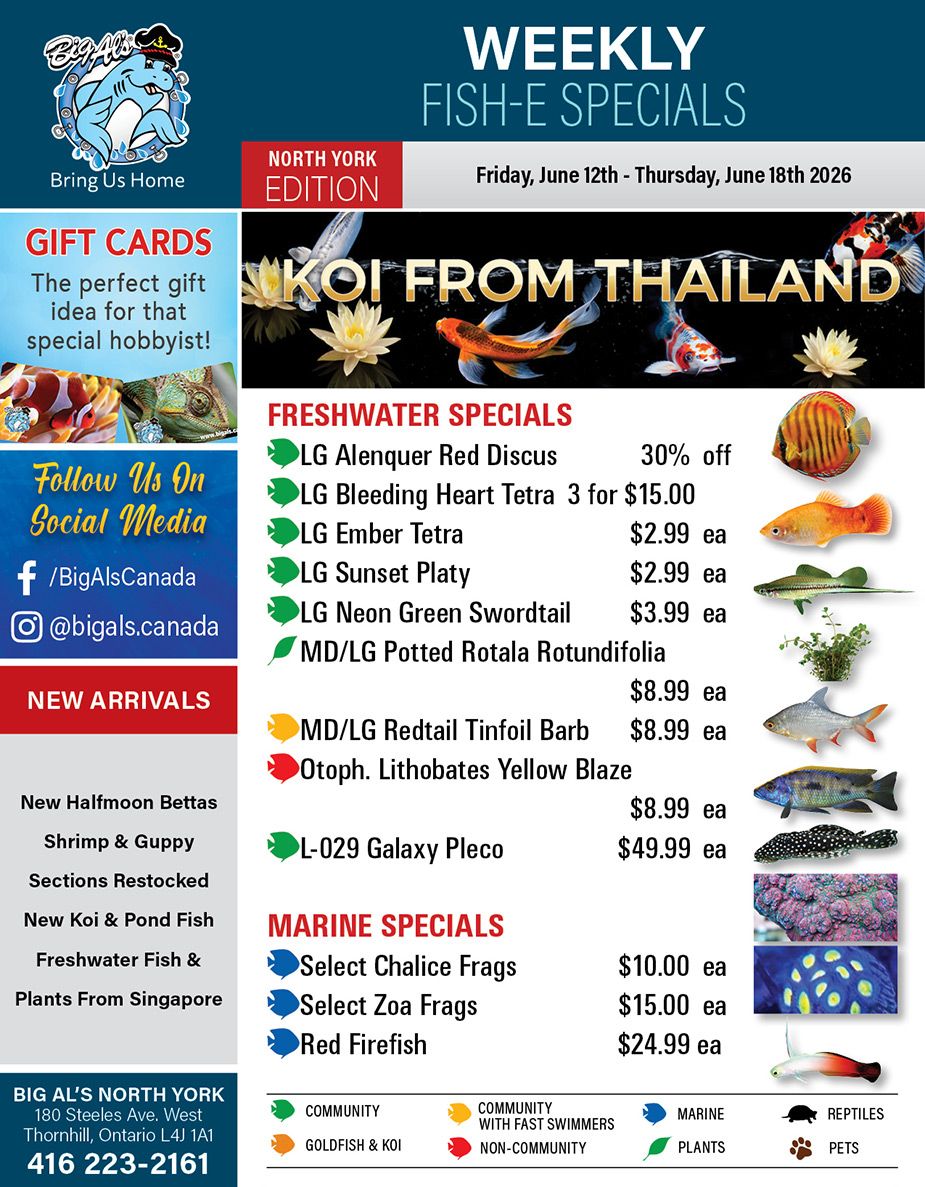 Big Al's (North York) Weekly Specials June 12 to 18