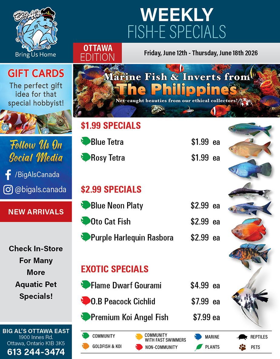 Big Al's (Ottawa) Weekly Specials June 12 to 18
