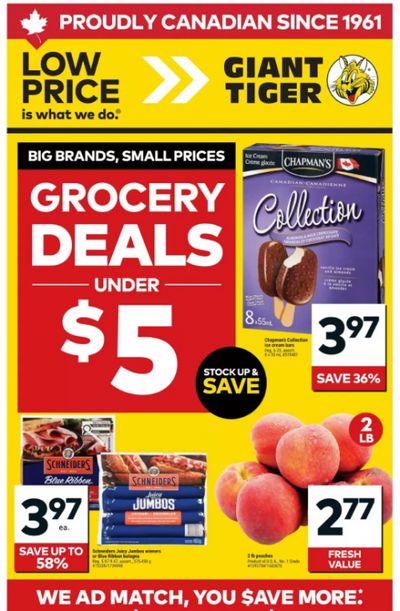 Giant Tiger Canada Flyer DealsL Grocery Deals Under $5 + More June 17th – 23rd