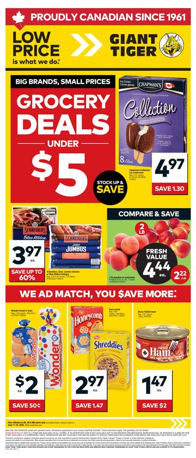 Giant Tiger (West) Flyer June 17 to 23