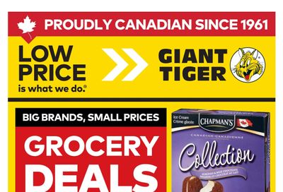 Giant Tiger (West) Flyer June 17 to 23