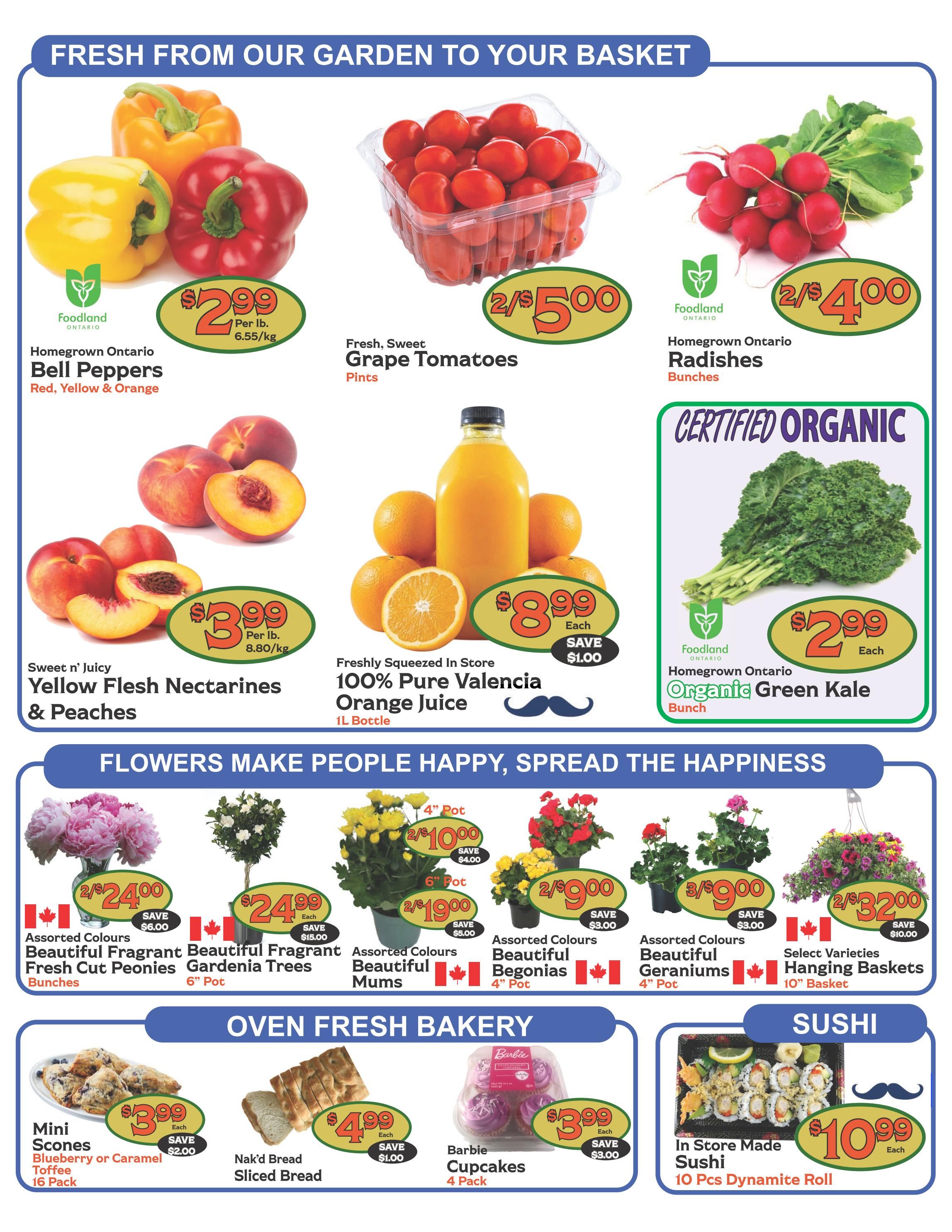 The Garden Basket Flyer June 18 to 24